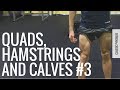 Classic Physique Program #3 - Leg Workout