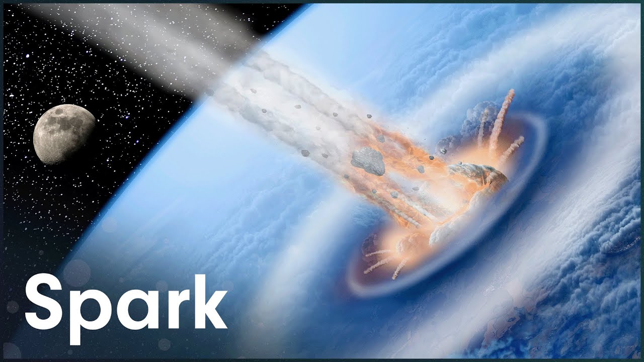 The Cretaceous–Paleogene Extinction Event: As It Happened