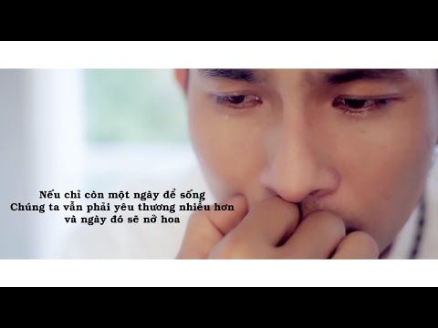 Nếu chỉ còn một ngày để sống - Nguyễn Hồng Ân