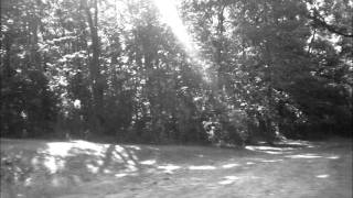 Murder by Death-Piece by piece