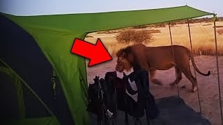 14 Scariest Camping Encounters Caught on Tape 14 Scariest Camping Encounters Caught on Tape