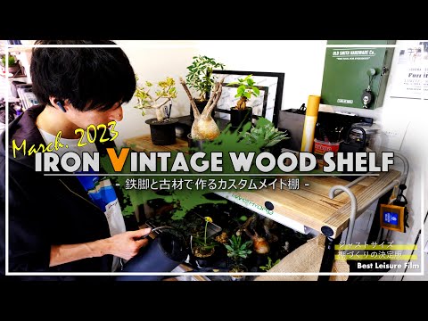 アイアンウッドの木 植物