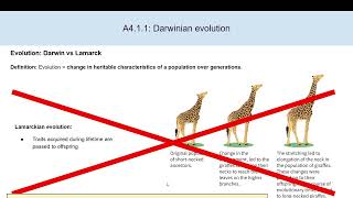 A4 1  Evolution & Speciation