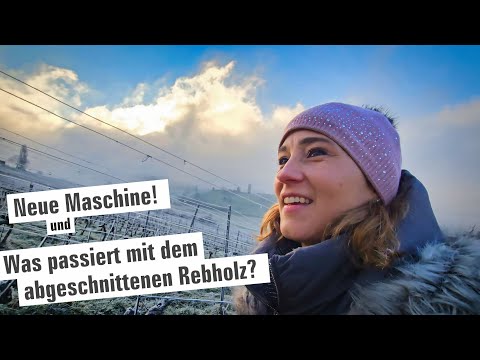 Was passiert mit dem abgeschnittenen Rebholz. Eure Fragen und die neue Maschine! 384