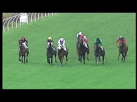 Napoli Galoppo 29/11/2021 - 2ª corsa