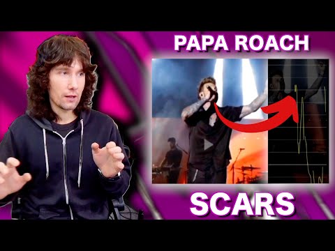 Unveiling Papa Roach's Scars: A Live Performance Analysis