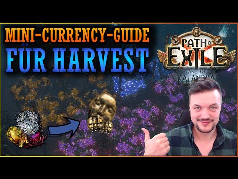 HARVEST LOHNT SICH! | Currency-Guide | Path of Exile 3.19 | Deutsch