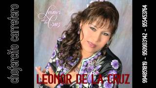 CHOFERCITO CARRETERO / LEONOR DE LA CRUZ / 2015