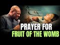 HOT PROPHETIC PRAYERS FOR THE FRUIT OF THE WOMB APOSTLE JOSHUA SELMAN