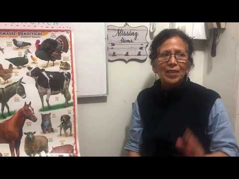 ENGLISH CLASS, FIRST GRADE - FRIDAY 8TH, 2020 Miss Alicia Chiarella