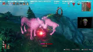 【Valheim】素材集めかな～コダトロ、メルカリ、エラキング（2026年9月27日アーカイブ）