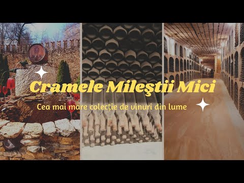 Cea mai mare crama din lume | Milestii Mici - 200 km de tuneluri si 1.5 milioane de sticle de vin