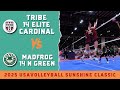 Tribe 14 Elite Cardinal Vs Madfrog 14 N Green 2025 Sunshine Classic Volleyball Tournament USAV