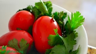 Best Foods for Lead Poisoning- Chlorella, Cilantro, Tomatoes, Moringa?