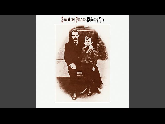 La carriera musicale e lo stile di Chicory Tip: le migliori canzoni e concerti famosi.