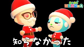 【あつ森】勘違いだらけのあつ森クリスマスイベント