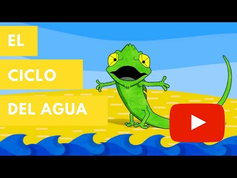 El ciclo del agua | Camaleón
