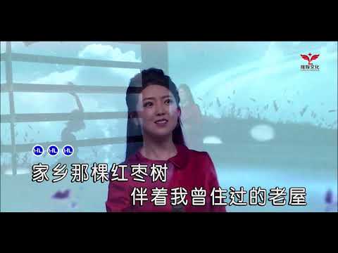 紅棗樹