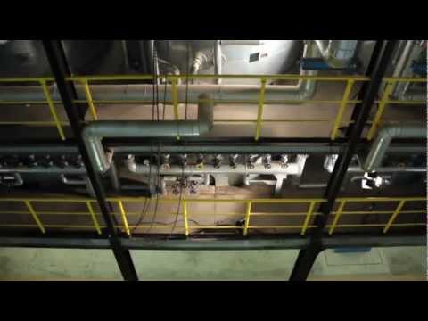 OVID_PART02_Die Rohstoffe und der Verarbeitungsprozess in einer industriellen Ölmühle_720p