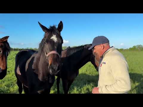 Show Lumet - ARQANA 2025 : "100% inside" avec David Lumet lors d'une tournée d'inspection