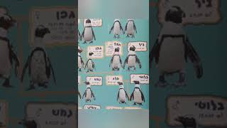 המשודך המתוסבך, ספארי רמת גן (המשודך המתוסבך) - התמונה מוצגת ישירות מתוך אתר האינטרנט יוטיוב. זכויות היוצרים בתמונה שייכות ליוצרה. קישור קרדיט למקור התוכן נמצא בתוך דף הסרטון