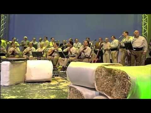 Andrés, repásate el motor - Los Gofiones