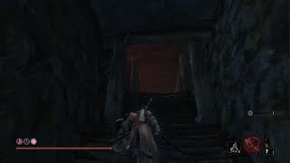 SEKIRO： SHADOWS DIE TWICE_20250329183632