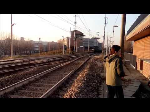 Doppietta di Caimani in transito a BOLOGNA FIERE