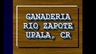 preview picture of video 'TORO: EL ZANATE GANADERIA RÍO ZAPOTE'