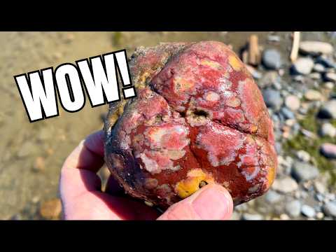 Stunning Rocks and a Relaxing Rockhounding Hunt on the Yellowstone River