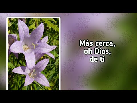 Himnario adventista 446 Más cerca, oh Dios, de ti (-)