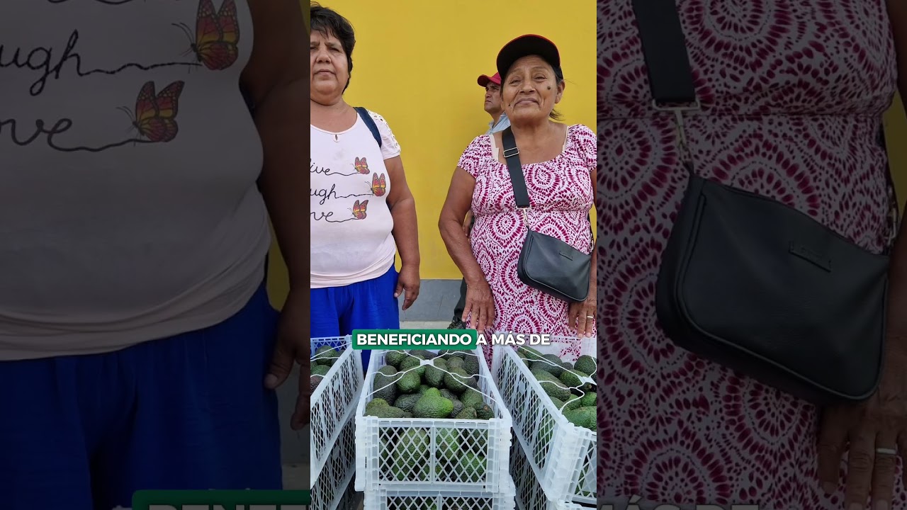 ADRA NEWS! Edición #38 🗞️📍Entérate las buenas noticias de esta semana en ADRA PERÚ 🇵🇪✨