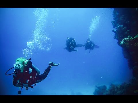 Elphistone Resort - Marsa Alam - Egypt - Reef - diving | Egipt 2016 nurkowanie z 3WILL