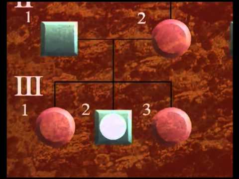 Humangenetik: Erbkrankheiten