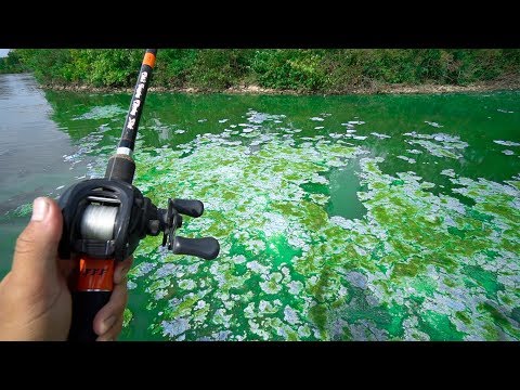 Fishing in TOXIC BLUE WATER!!!