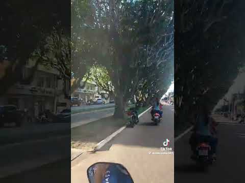 Avenida parque Itacoatiara Amazonas 🐾🐆
