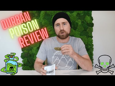Durban Poison CBD Flower Review | Bammmer