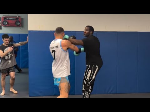 Alex Pereira Perplexed By 6 Foot 7 Taekwondo Master