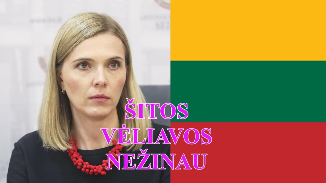 Lietuvos simbolių niekintojai. Ar pajėgsime juos sutramdyti?