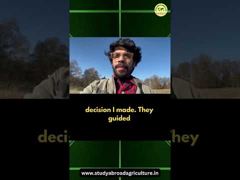 University of Hohenheim