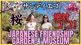 【桜祭り開催中！】サンディエゴで唯一桜が見れるバルボアパークに行ってきた！