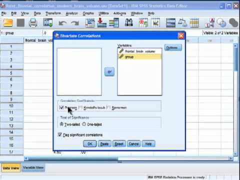 Punktbiseriale Korrelation – SPSS