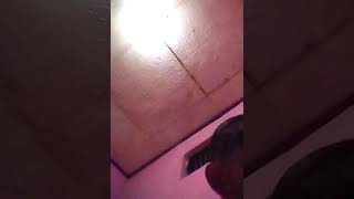 Download lagu Kependem Tresno Story Wa (By Rifkhekk) mp3