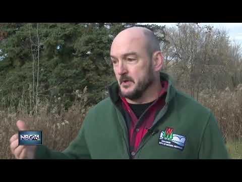 Hunting debate: copper vs. lead bullets