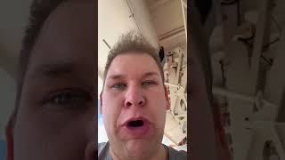 Where did you come from, sir?! 🦅 #fyp #foryoupage #cruise #birds #confused