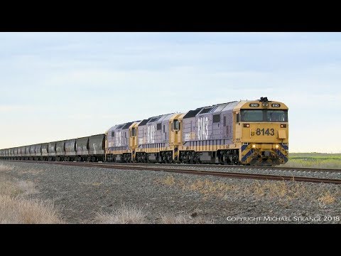 Pacific National Grain Train 1GK6 - PoathTV Australian Railways