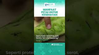 Luar Biasa! Petai Kaya akan Manfaat untuk Kesehatan, Menurunkan Kolesterol & Tulang Kuat