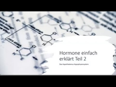 Hormones Simply Explained Part 2 - The Hypothalamic-Pituitary System. Releasing + Inhibitor Hormones