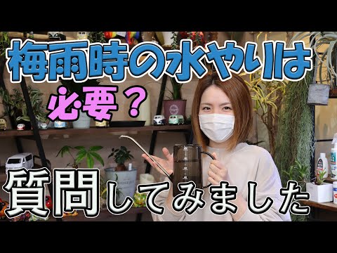 嵐の前後にプールを維持するにはどうすればよいですか?きれいな水を見つけるために知っておくべきことすべて  庭園