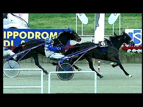 Trotto 05/01/2021 - 3ª corsa